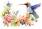 Graceful hummingbird amidst blooming flowers on a white background. Generative Ai