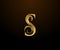Graceful Initial S Gold Letter logo. Vintage drawn emblem for book design, weeding card, brand name, business card, Restaurant,