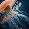 A graceful jellyfish with glowing tentacles, guarding the depths of the ocean as a hero5