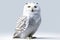 Graceful Majesty: Snowy Owl Perched on a Serene White Background. created with Generative AI