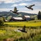 Graceful Mallard Ducks Soaring in V-Formation over Picturesque Farm