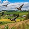 Graceful Mallard Ducks Soaring in V-Formation over Picturesque Farm