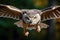 Graceful owl in mid flight, wings unfurled, pure natural elegance