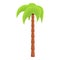 Graceful palm tree icon, cartoon style