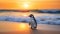 Graceful Penguin On A Sandy Beach - Soft Focus Photography