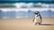 Graceful Penguin On A Sandy Beach: Soft Focus Photography