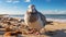 Graceful Pigeon On Sandy Beach: Soft Focus Photography In High Resolution