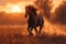 Graceful power thoroughbred stallion gallops freely in a rural sunset