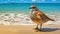 Graceful Quail: A Stunning Beach Bird In Bold Saturation