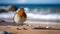 Graceful Robin On Sandy Beach: Immaculate Perfectionism In Soft Focus Photography