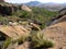 graceful rocks in the National Park are home to the Ring tail lemur. Ranomafana, Madagascar