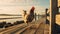 Graceful Rooster On Wooden Pier: Captivating Commercial Imagery