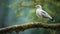 Graceful Seagull On Mossy Branch: Schlieren Photography In Carnivalcore Style