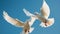 Graceful seagull spreads wings in mid air, symbol of freedom generated by AI