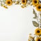 Graceful Sunflower Border Open Copy Space