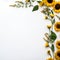Graceful Sunflower Edges Open Copy Area