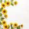 Graceful Sunflower Edges Open Creativity
