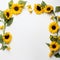 Graceful Sunflower Edges Open Creativity