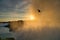 Graceful Sunrise: Gulls in the Mist at Niagara Falls