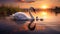 a graceful swan delicately cleaning her cygnet on a calm,