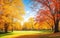 Graceful Trees, Golden Leaves, and Petals in a Serene Pathway.