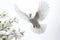 Graceful White Dove Soaring in Flight - Symbol of Freedom