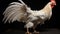 Graceful White Rooster Climbing Up In Stunning Photo