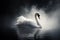 Graceful white swan - fantasy white feathered swan in a tranquil water setting