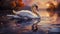 A graceful White Swan with long feathers glides serenely across the calm surface of a lake