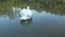 Graceful white swan with raised wings swimming in lake