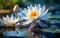 Graceful white water lily in full bloom, symbolizing serenity, harmony, and natural beauty