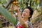 A graceful woman picking loquat