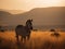 Graceful Zebra Grazing in Vibrant Kenyan Grasslands