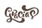 Gracias Vector text in Spanish Thank you. Lettering calligraphy vector illustration. Element for flyers, banner and posters print