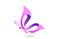 Gradation colored butterfly logo