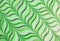 Gradient green wavy pattern of a decorative doughnut for abstract backdrop