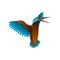 Gradient kingfisher bird vector illustration