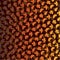 Gradient layered leaf pattern on brown