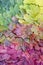 Gradient of multicolored fall maple leaves. Autumn background