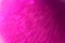 Gradient pink blurred bokeh background