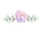 Gradient pink watercolor painting penoy flower for wedding decor