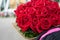 A graduate holding a beautiful bouquet of roses