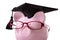 Graduate Piggy Bank student college graduation, close up, white background