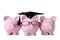 Graduate Piggy Banks student college graduation