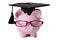 Graduate Piggybank student college graduation front view, isolated on white background