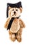 Graduated bear