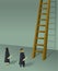 Graduates Climbing Ladder