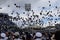 Graduation 2017/ Navy Hat Toss