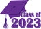 Graduation cap class of 2023 purple