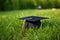 Graduation cap and diploma on green grass, shallow depth of field, graduation hat lies on green grass, AI Generated